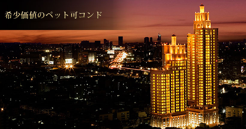 希少価値のペット可コンド【Aguston Sukhumvit 22】